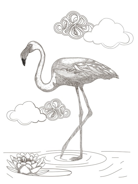 Flamingo Sketchup
