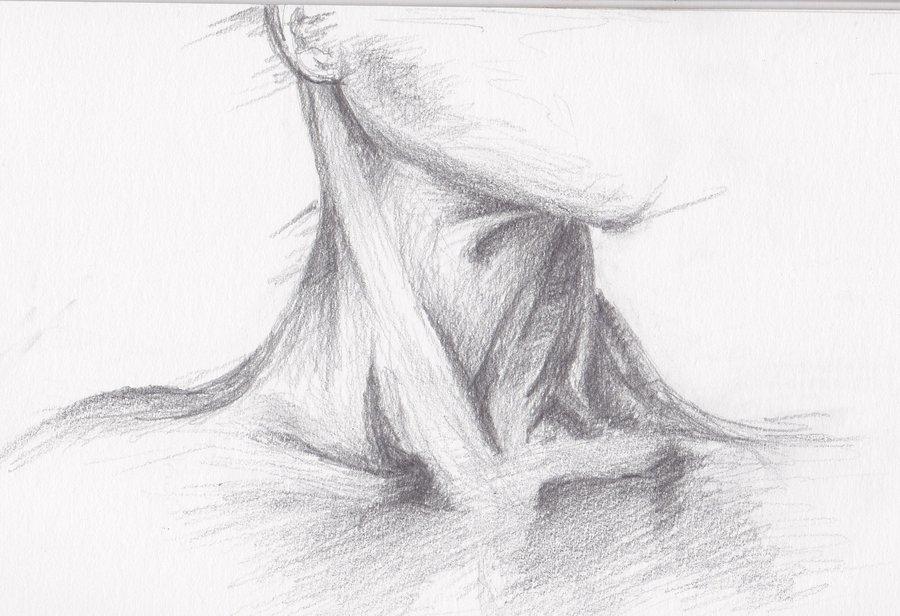 Neck Sketch At PaintingValley Explore Collection Of Neck Sketch