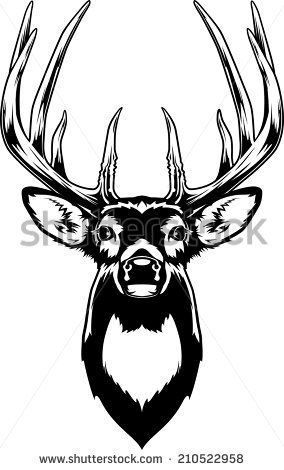 Whitetail Deer Sketch At Paintingvalley Explore Collection Of