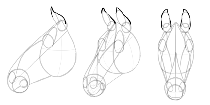 700x353 How To Draw Horses Step - 12 Drawing