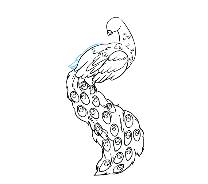 678x600 How To Draw A Peacock In A Few Easy Steps Easy Drawing Guides - 15 Drawing