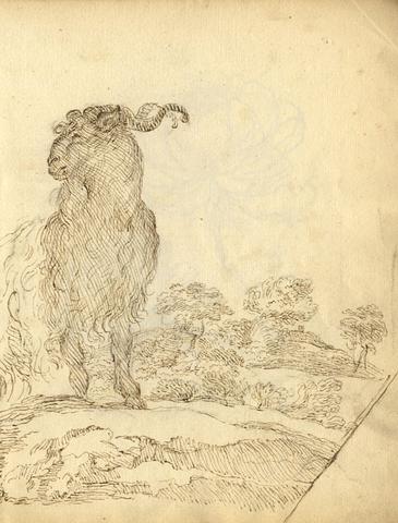 365x480 George Evans Somerset Wood - 18th Century Drawings