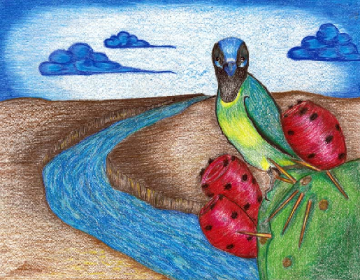 515x400 texas clean rivers program - 1st Drawing