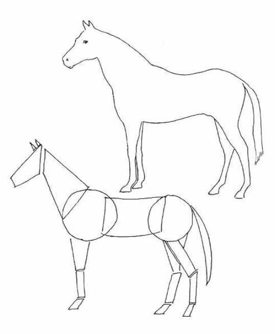 538x652 Basic Two Dimensional Shapes - 2 Dimensional Drawing