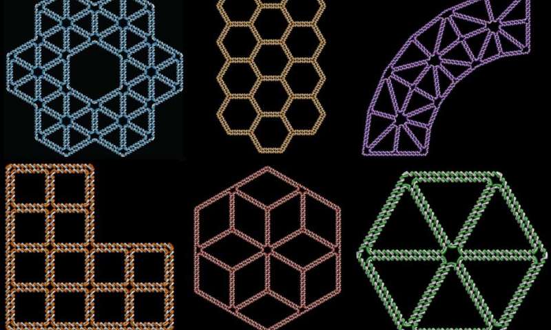 800x480 Computer Program Can Translate A Free Form D Drawing Into A Dna - 2 Dimensional Drawing