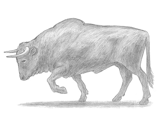 549x425 Home - 2 Drawing