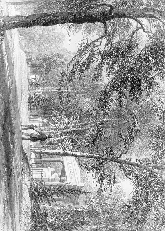 575x802 Mount Auburn Cemetery Visual - 2 Drawing