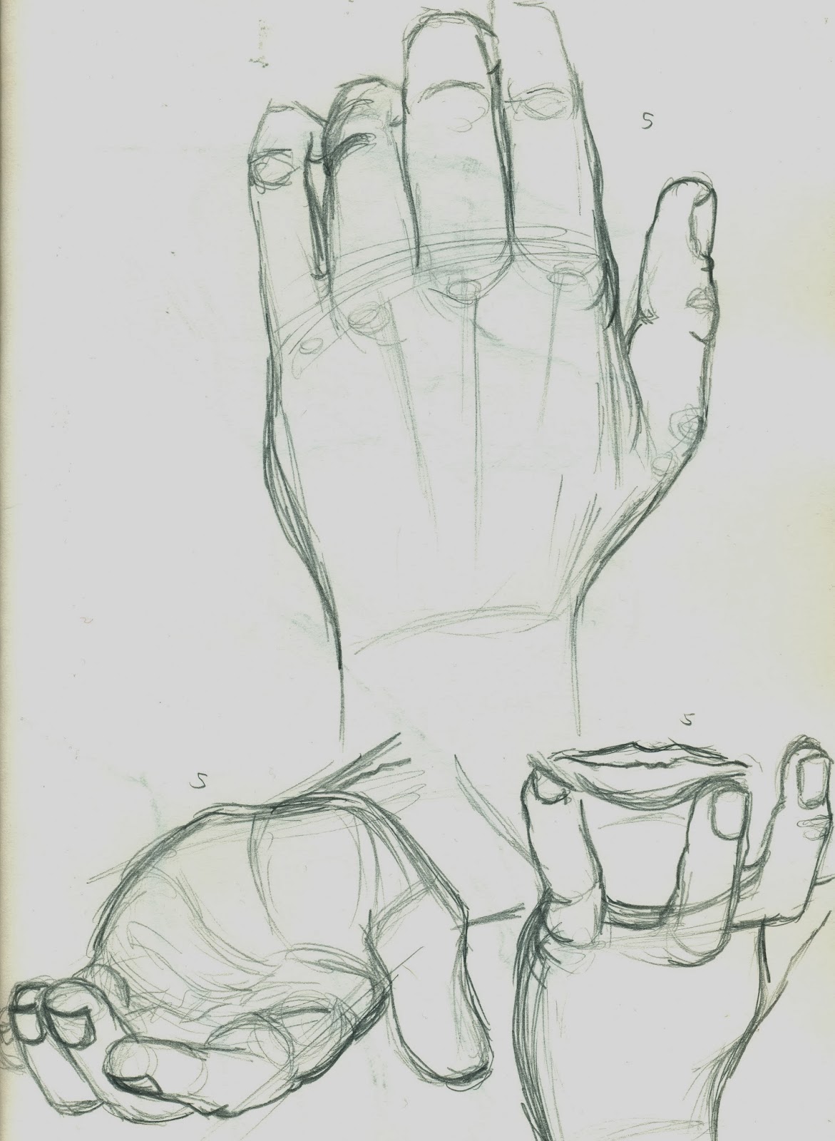 1171x1600 it is strong, the blog is!!! life drawing training day hands - 2 Hands Drawing