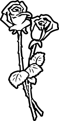 206x425 Flowers Quiring Monuments - 2 Roses Drawing