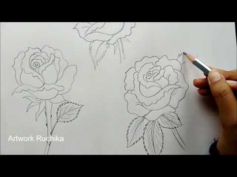 480x360 How To Draw Rose - 2 Roses Drawing