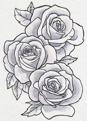 300x418 Painterly Shading Set Inside These Large Blooms Give A Lavish Feel - 2 Roses Drawing
