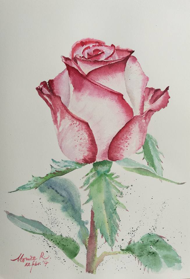 653x960 Rose Watercolour Progress - 2 Roses Drawing