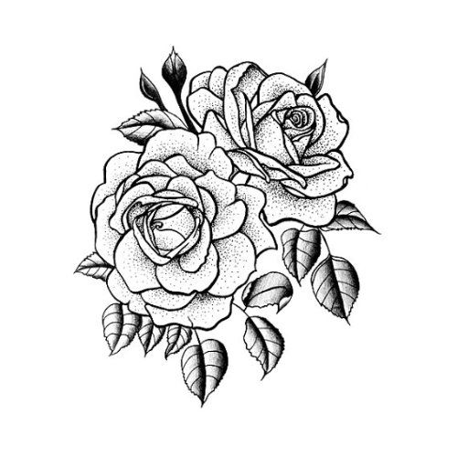 2 Roses Drawing at Explore collection of 2 Roses