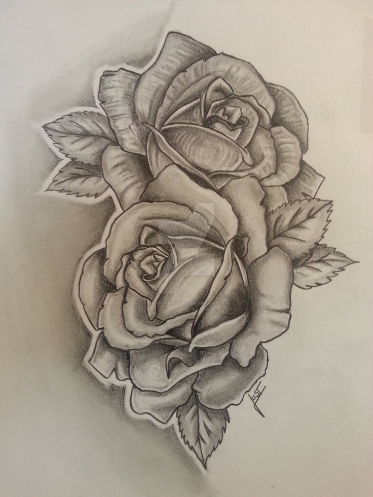 736x981 Roses - 2 Roses Drawing