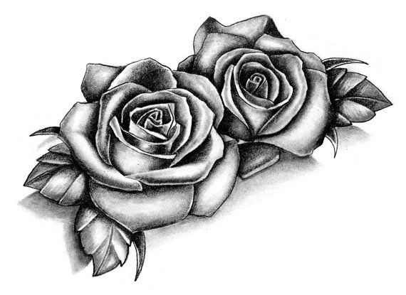 570x415 Boards Of Temporary Tattoos In The Roses Style! Each - 2 Roses Drawing