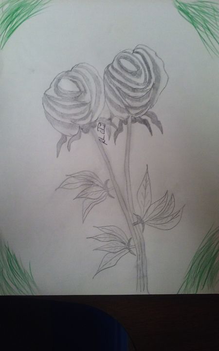 450x720 Roses - 2 Roses Drawing