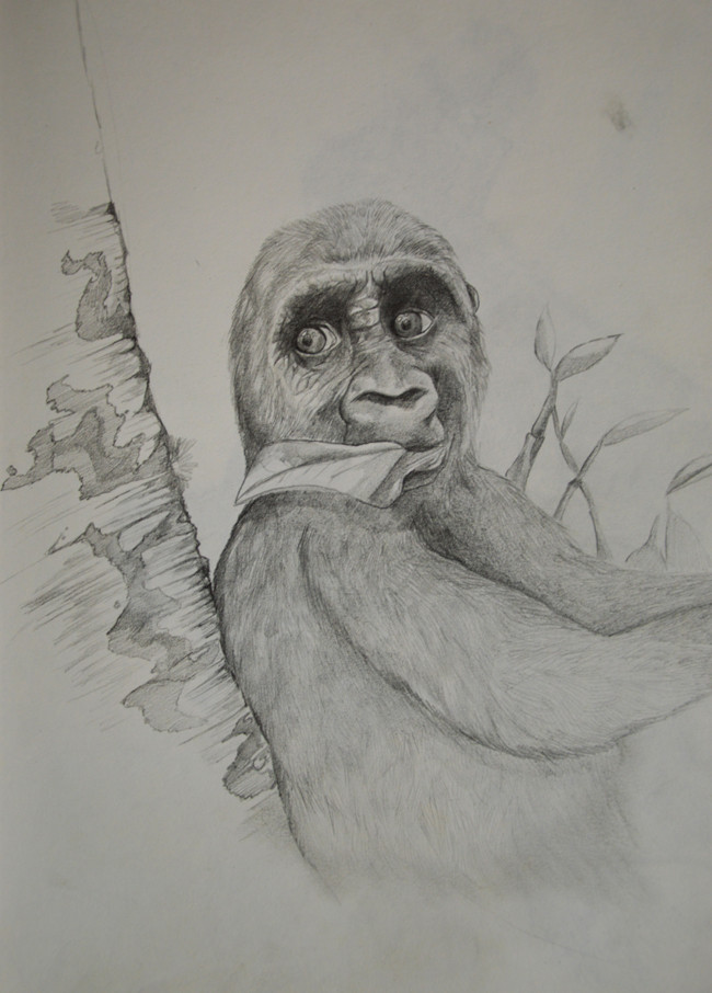 2 Year Old Drawing at Explore collection of 2 Year