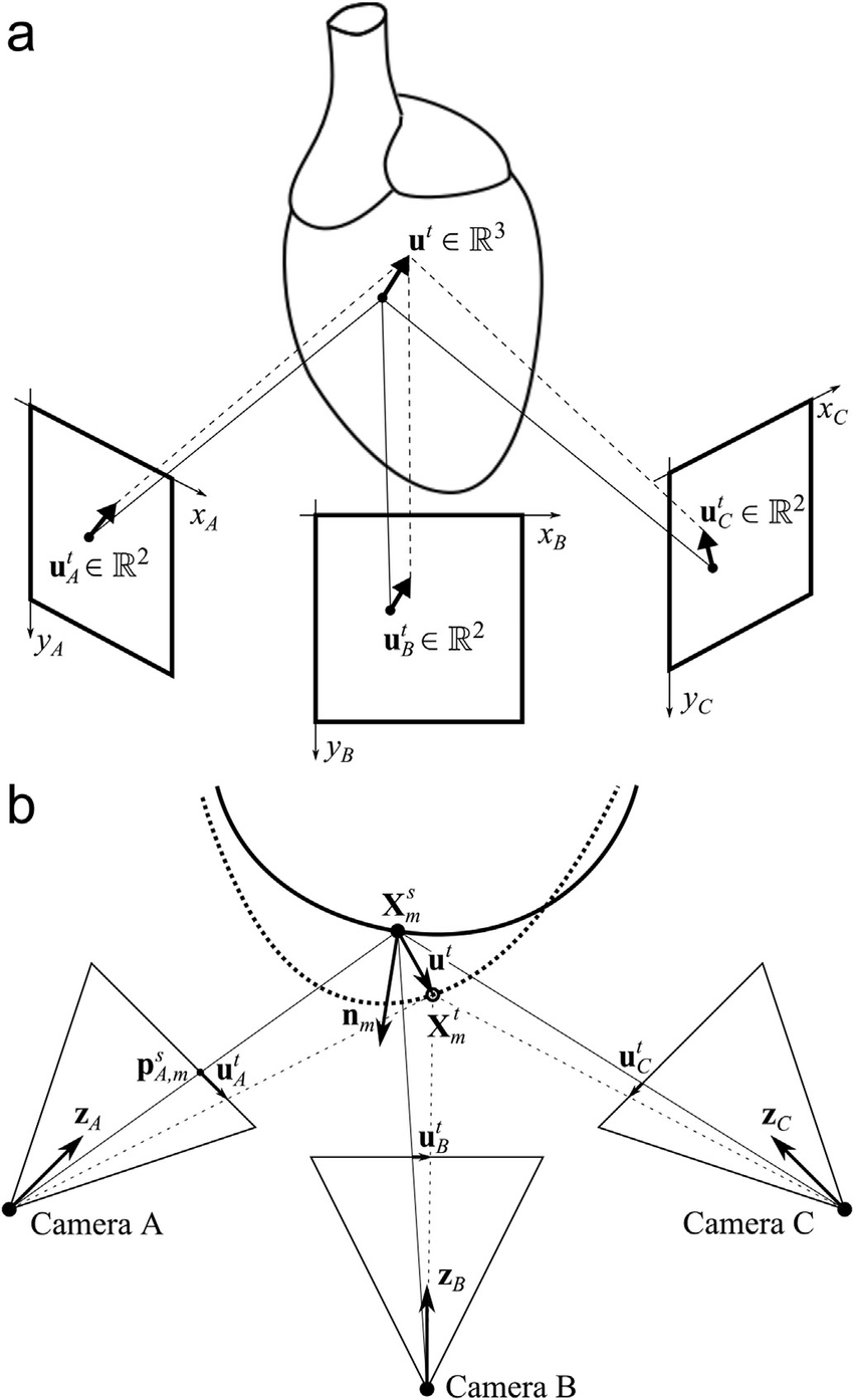 850x1394 schematic drawing of reconstruction procedure of three dimensional - 2d Dimensional Drawing