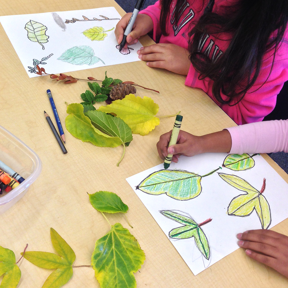 1000x1000 rocks and soil - 2nd Grade Drawing