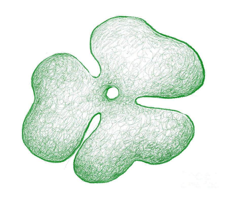 900x779 Hand Drawn Of Three Leaf Clovers On White Background Drawing - 3 Leaf Clover Drawing