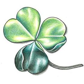 279x279 photos leaf clover drawing - 3 Leaf Clover Drawing