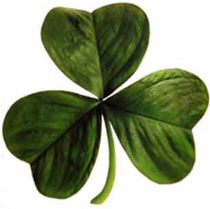 304x302 shamrock - 3 Leaf Clover Drawing
