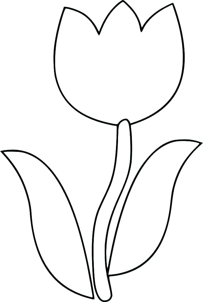 688x1024 shamrock line drawing coloring shamrock coloring sheet three leaf - 3 Leaf Clover Drawing