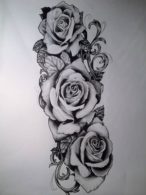 3 Roses Drawing at Explore collection of 3 Roses