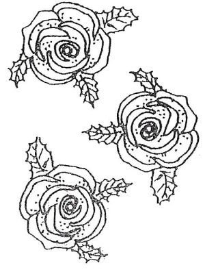 300x400 chocolate mould roses value baking supplies - 3 Roses Drawing