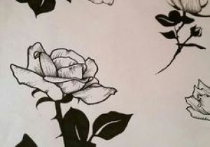 300x210 Drawing Of Rose Student Best Rose Drawings Images Roses - 3 Roses Drawing