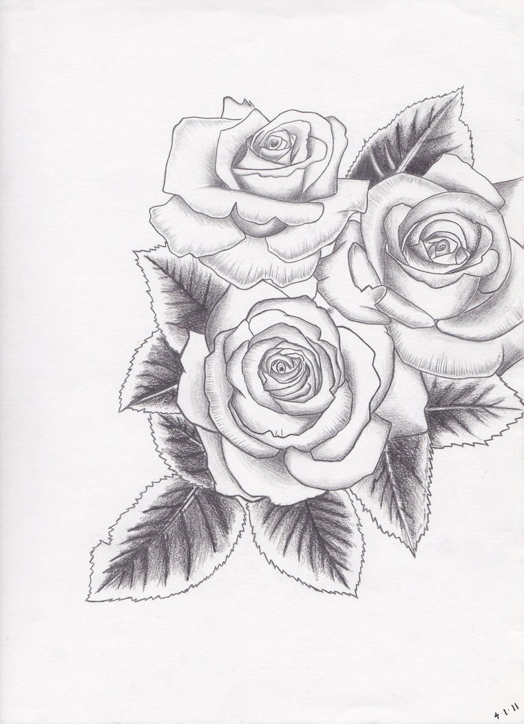 761x1051 Roses - 3 Roses Drawing