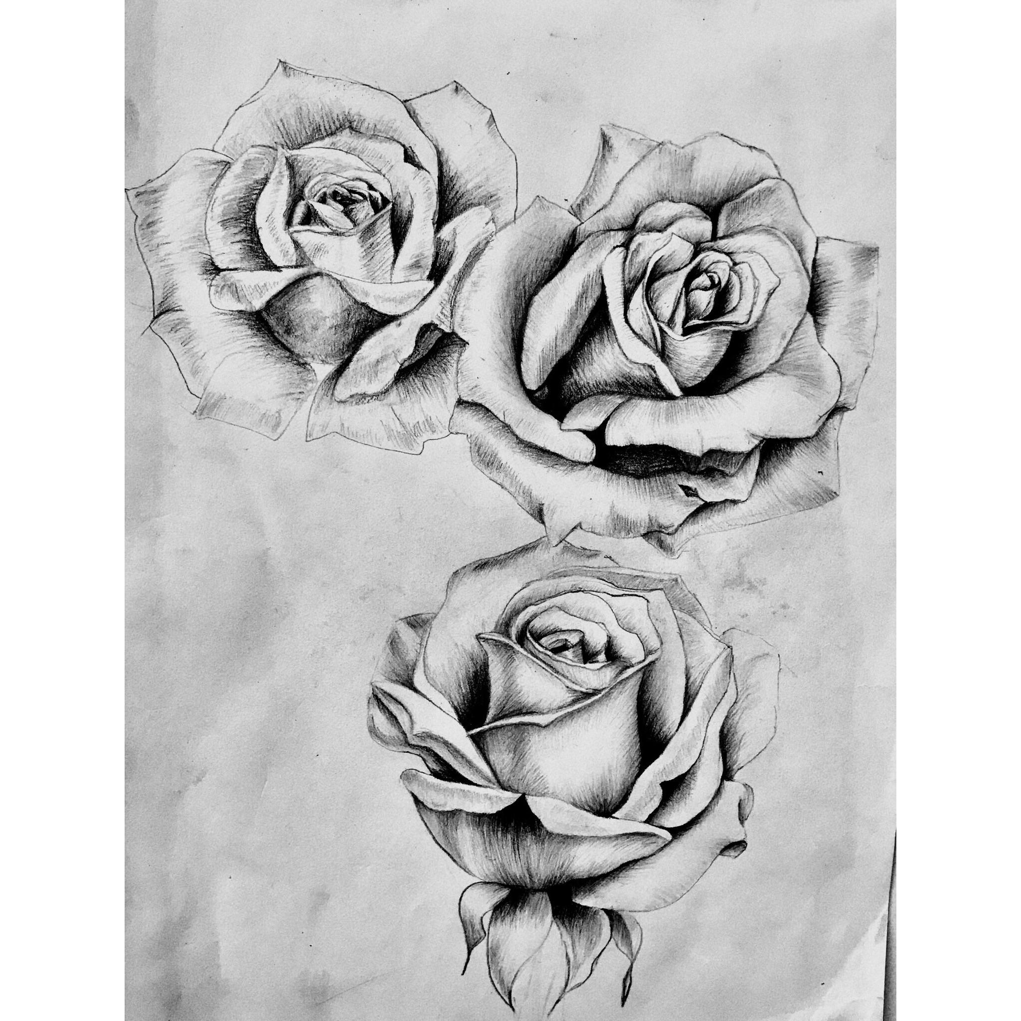 3 Roses Drawing at Explore collection of 3 Roses