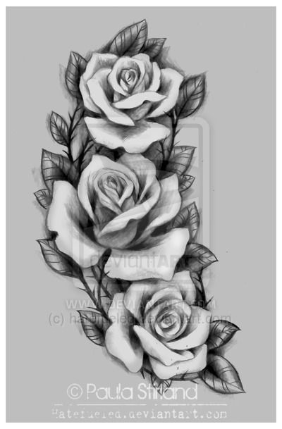 400x609 Roses For Amber - 3 Roses Drawing