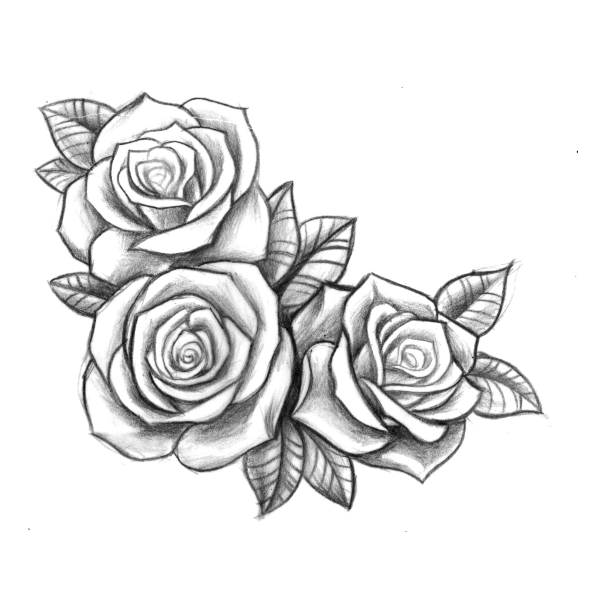 Custom Roses For Bec Tattoos Tattoos, Rose Drawing Tattoo - 3 Roses Drawing. 