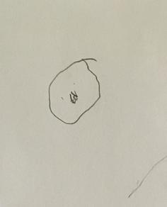 236x292 Successes Testimonials - 3 Year Old Drawing Of A Person