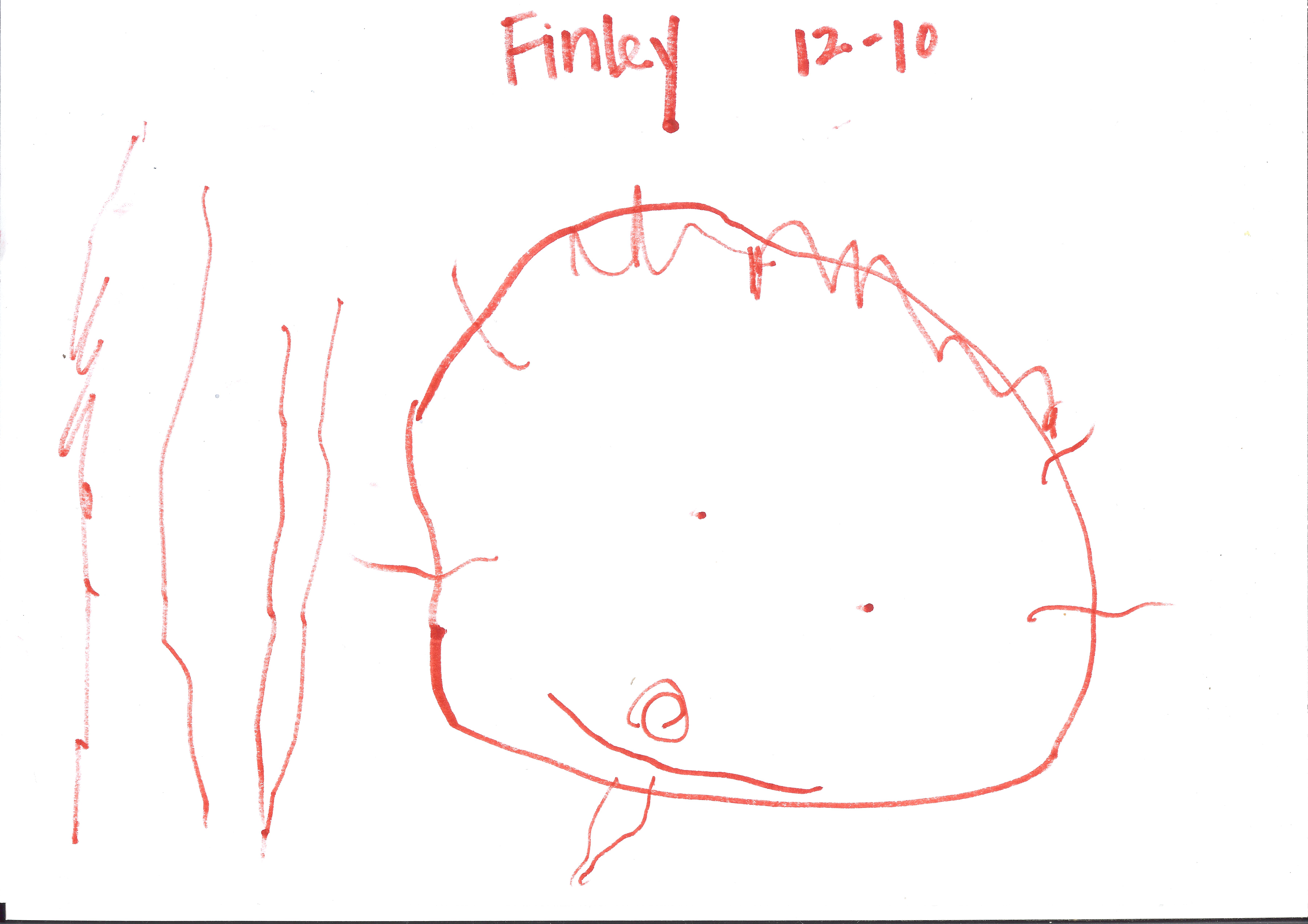 7200x5088 December - 3 Year Old Drawing Of A Person