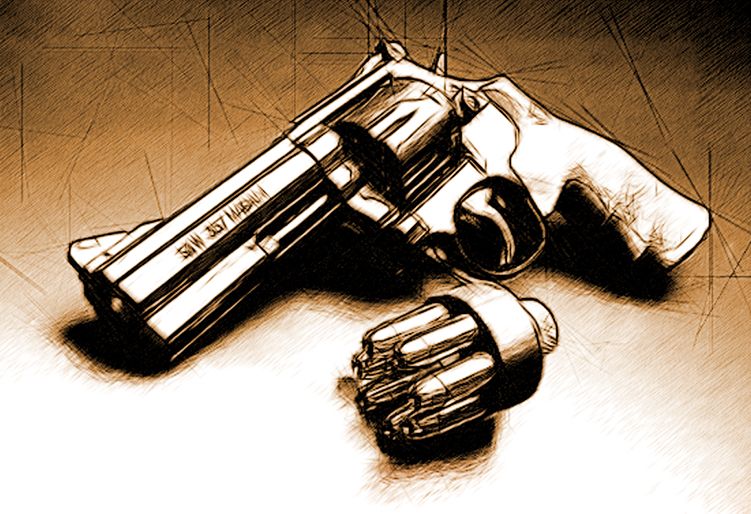 751x514 my favorite firearm s shot magnum - 357 Magnum Drawing