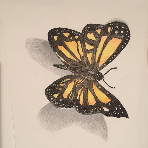 3d Butterfly Drawing at PaintingValley.com | Explore collection of 3d ...