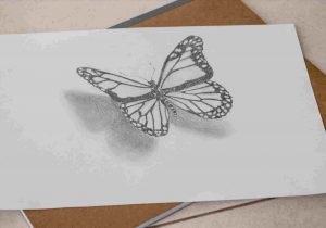 300x210 Rhdrawingslycom D Butterfly Drawings In Pencil - 3d Butterfly Drawing