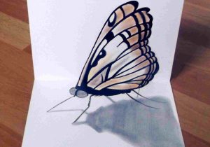 300x210 Rhcom Drawing - 3d Butterfly Drawing
