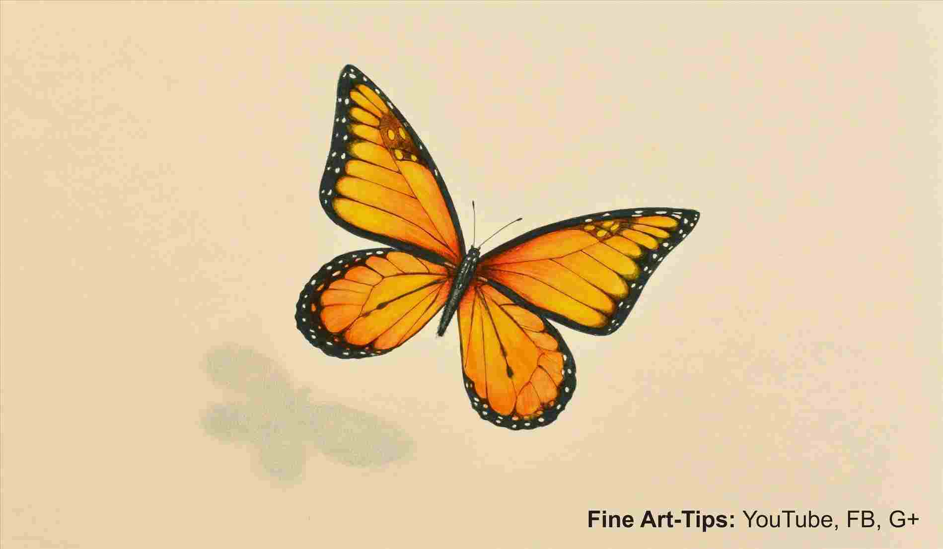 1899x1106 The Polaroid Play Pen Pretty Butterfly Drawing Decorative - 3d Butterfly Drawing