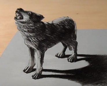 370x297 Drawing Easy Archives - 3d Drawing Easy