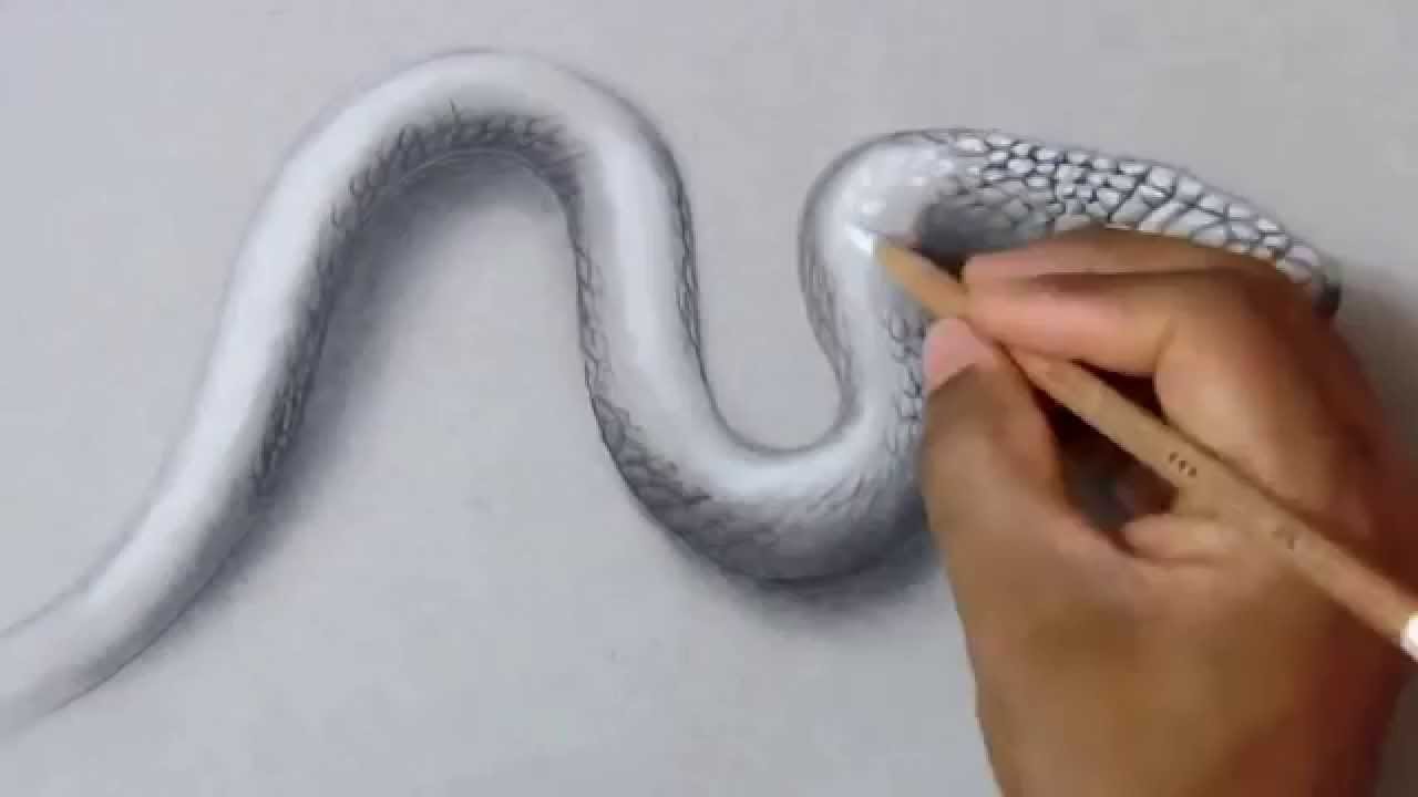 1280x720 Drawing How To Draw Realistic Snake - 3d Drawing Of A Snake