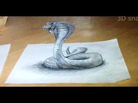480x360 anamorphic illusion, drawing snake - 3d Drawing Of A Snake