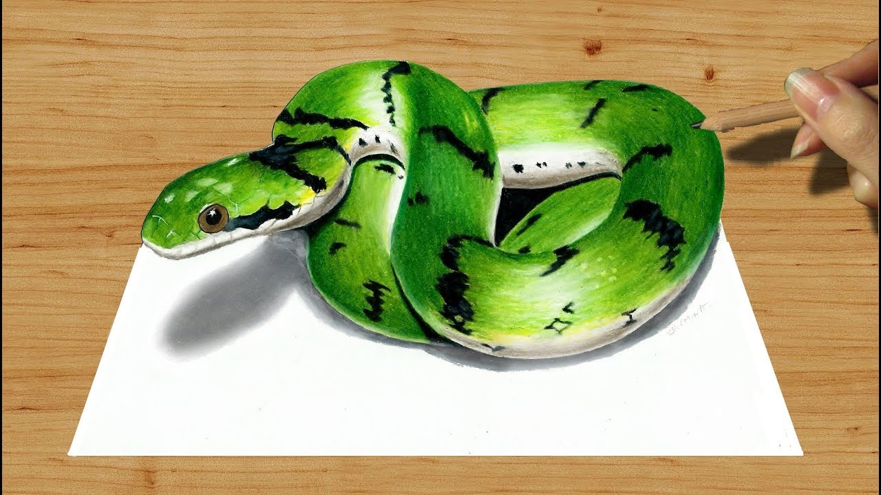 1280x720 Colored Pencil Drawing Cute Green Snake - 3d Drawing Of A Snake