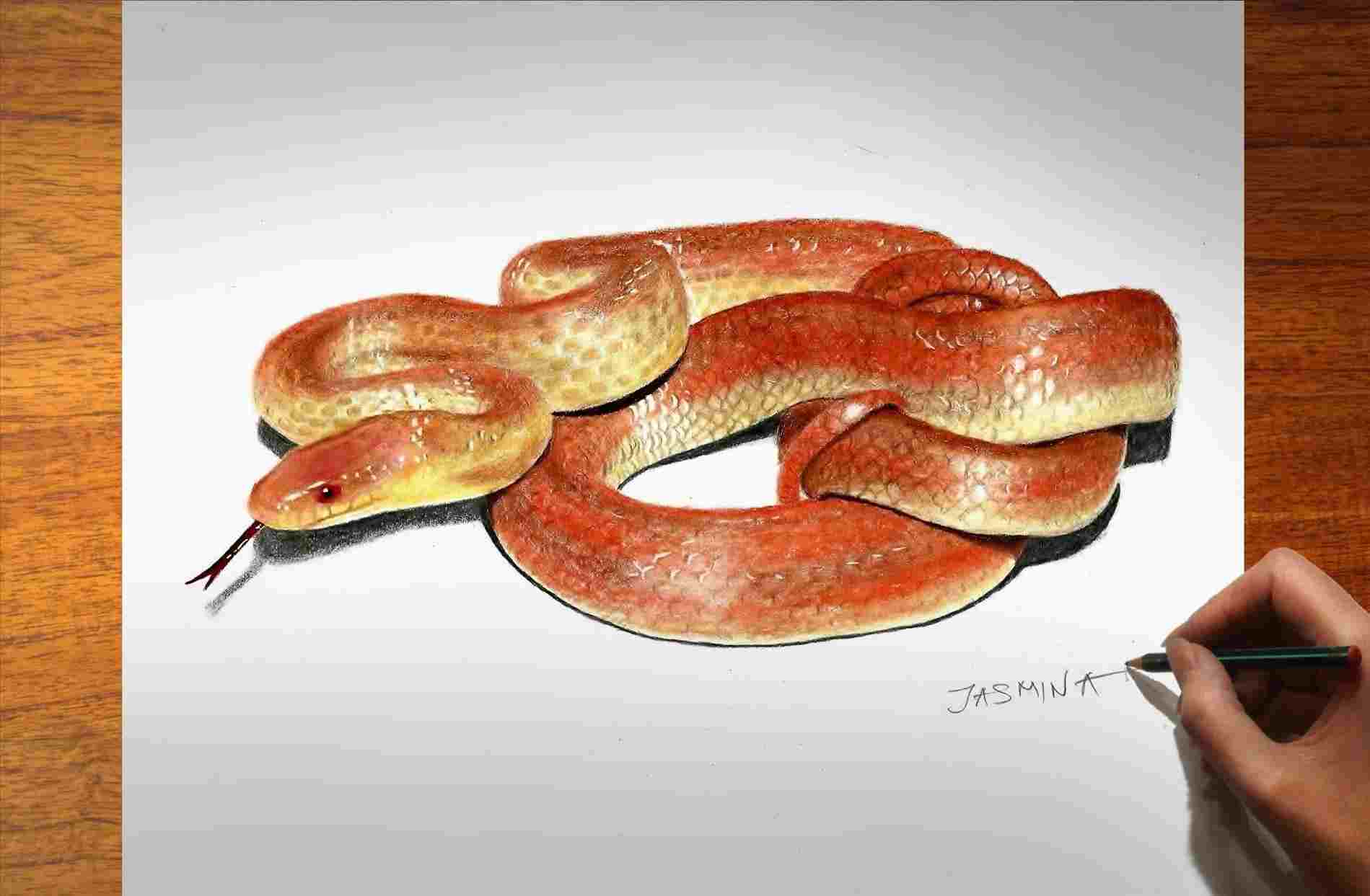 1899x1243 Painting Stefan Pabst Pin Snake Drawing - 3d Drawing Of A Snake