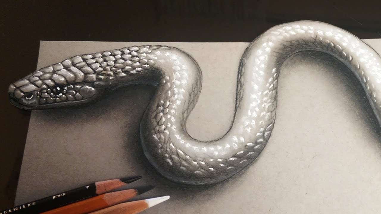 1280x720 pencil drawing snake snake pencil drawing pencil art - 3d Drawing Of A Snake