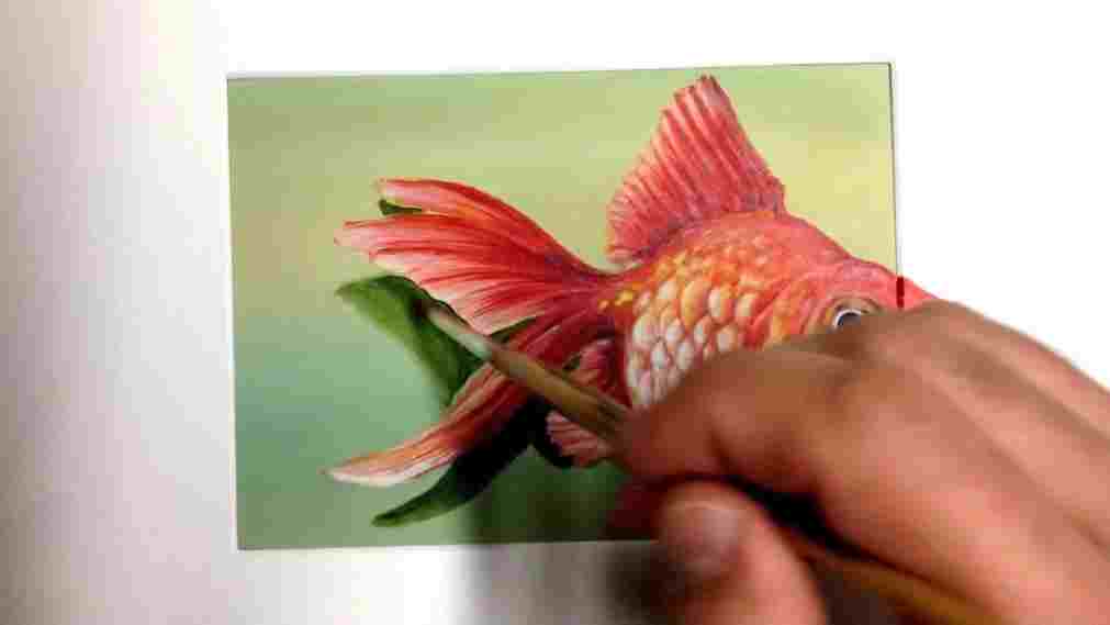 1011x569 rhcostincraioveanucom drawing fish drawing a fish in the pond u - 3d Fish Drawing