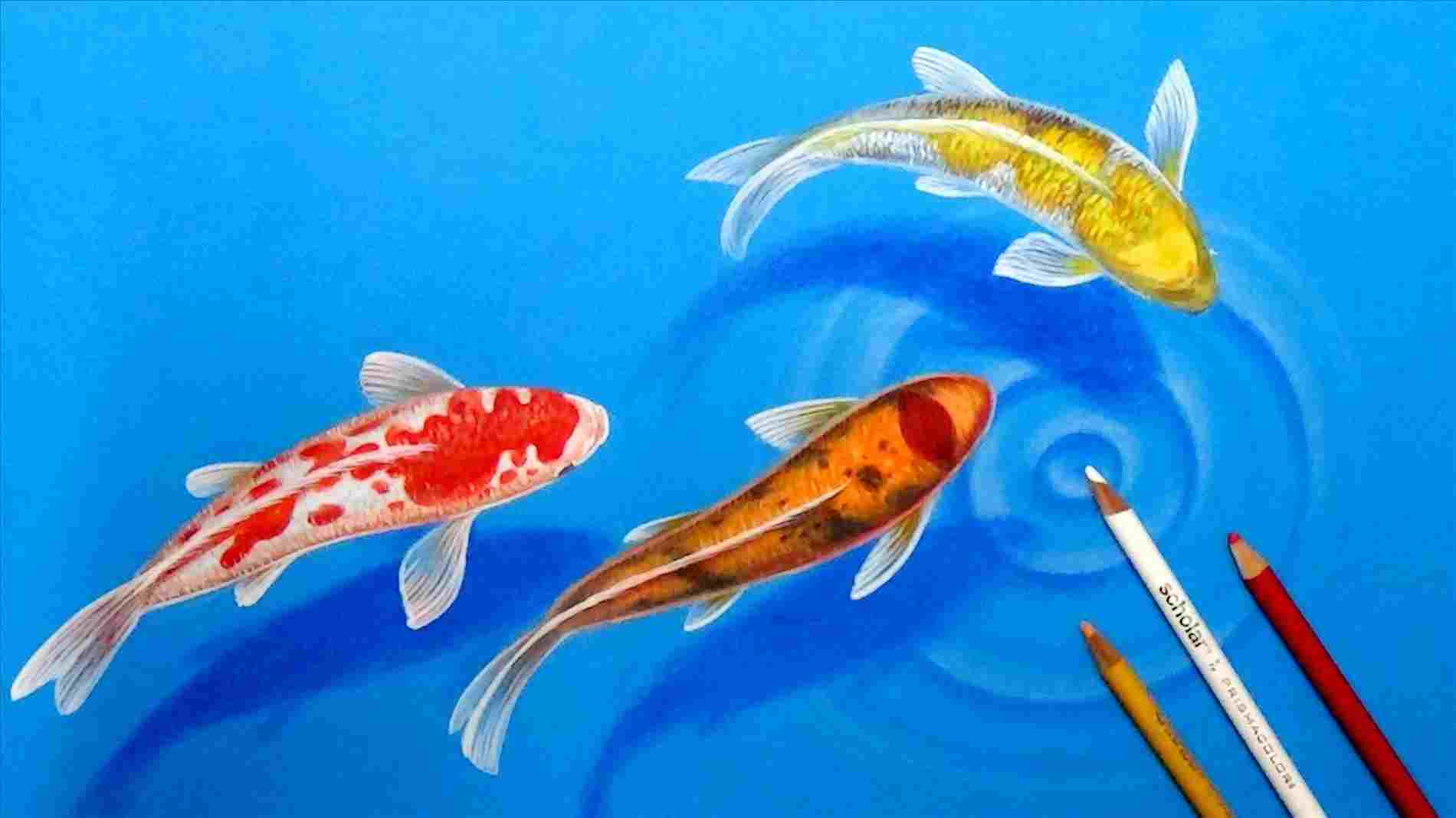 1900x1068 rindurhplusgooglecom never seen before on paper rhcom - 3d Fish Drawing