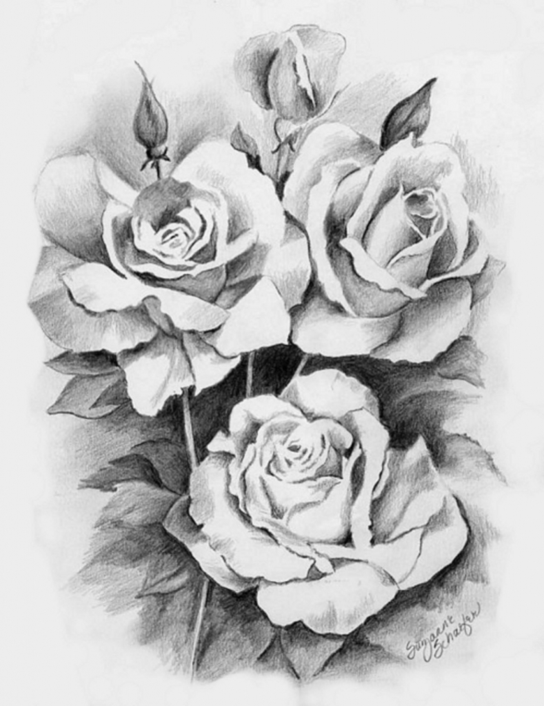 789x1024 Pics Of Flowers Drawing Flower Pencil Hd Flower - 3d Flower Drawing